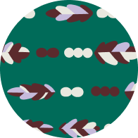 kashiwa柄